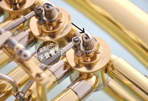 50 pcs New French Horn Euphoni - đánh giá và giá Musical Instrument Tuba