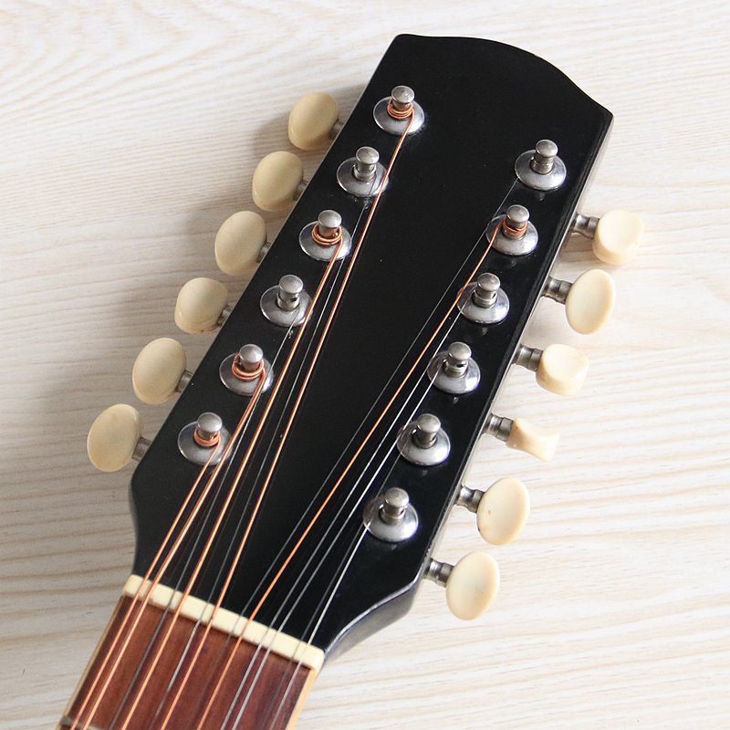 Stock 12 String Electric Acous - đánh giá và giá Dobro Resonator Guitar