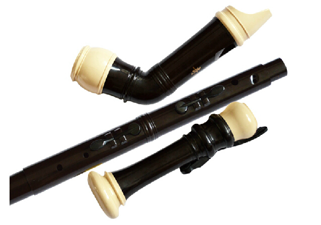 Professional 8 Holes Baroque B - đánh giá và giá Musical Instrument Recorder