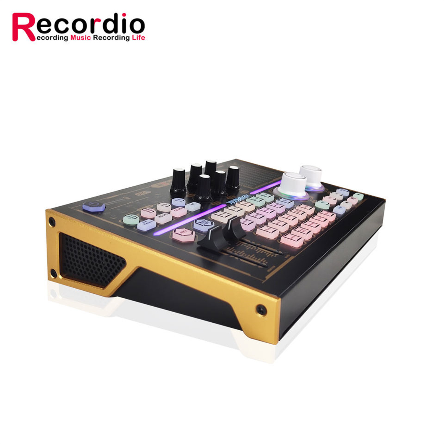 GAX-N8 Professional Recording  - đánh giá và giá Musical Instrument Recorder